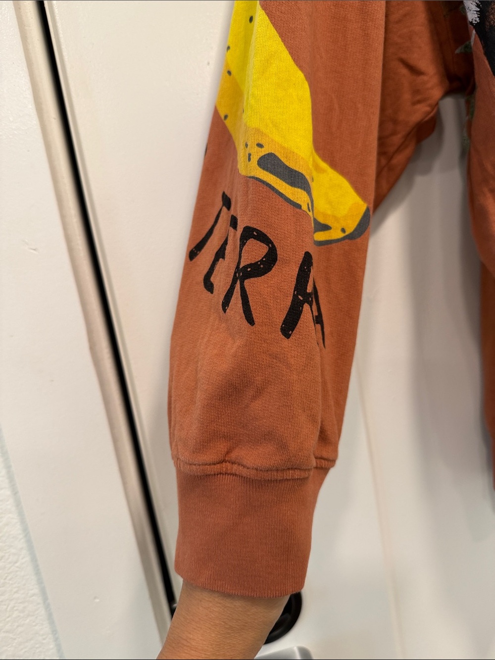 FARM Rio Rust Graphic Crewneck Sweater with Toucan Print size large - Picture 5 of 11